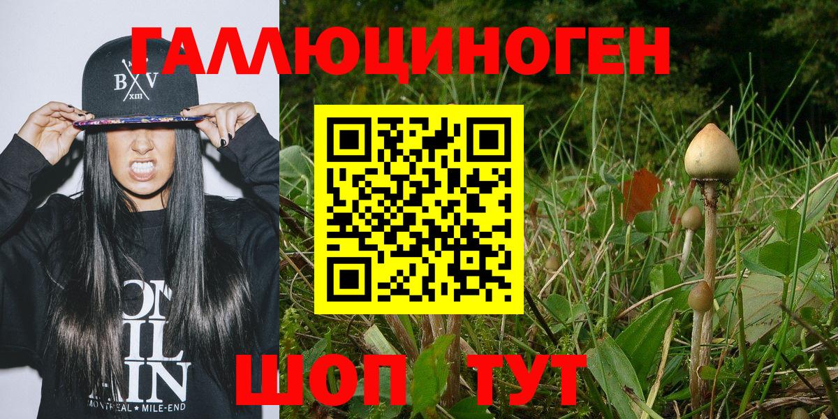 Псилоцибиновые грибы MAGIC MUSHROOMS Салехард