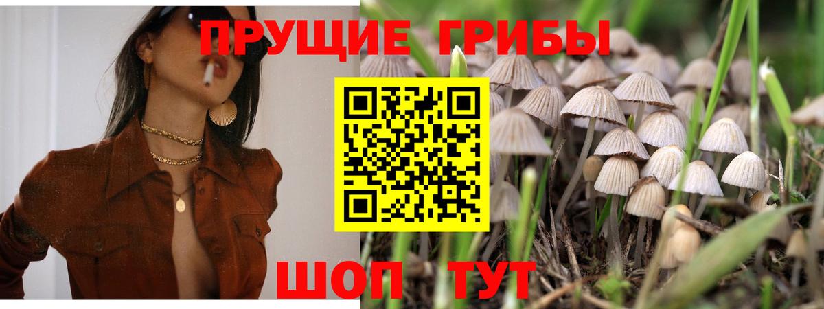 Галлюциногенные грибы GOLDEN TEACHER  Вход с VPN  Салехард 